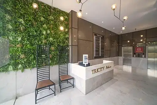 Project gallery Image