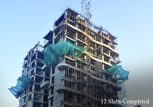 Project Progress Image